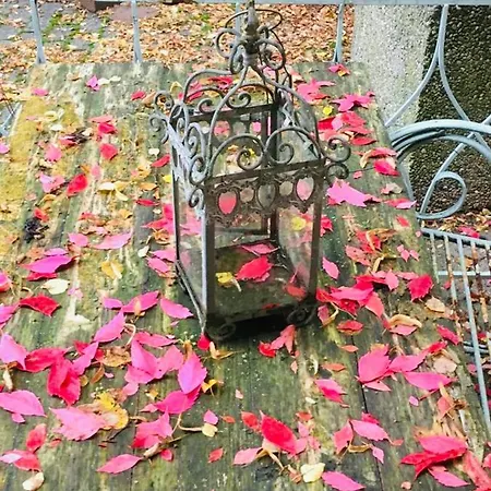 Hotel-restaurant Buger Hof Bamberg