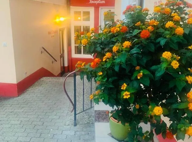 Hotel-restaurant Buger Hof بيت ضيافة 3*