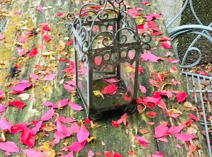 Hotel-restaurant Buger Hof بامبرج